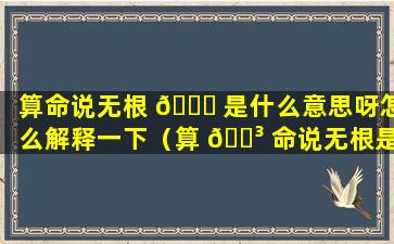 算命说无根 🐈 是什么意思呀怎么解释一下（算 🐳 命说无根是什么意思呀怎么解释一下呢）